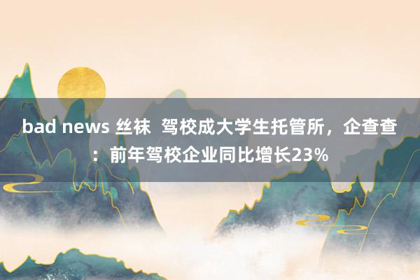 bad news 丝袜  驾校成大学生托管所，企查查：前年驾校企业同比增长23%