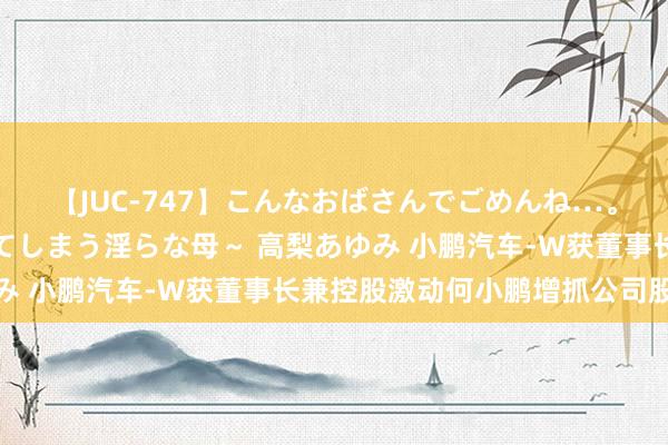 【JUC-747】こんなおばさんでごめんね…。～童貞チ○ポに発情してしまう淫らな母～ 高梨あゆみ 小鹏汽车-W获董事长兼控股激动何小鹏增抓公司股份