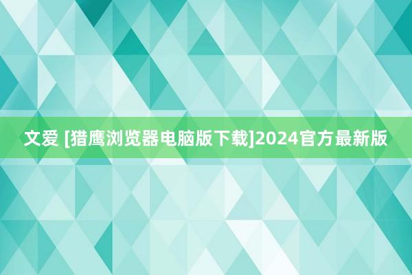 文爱 [猎鹰浏览器电脑版下载]2024官方最新版