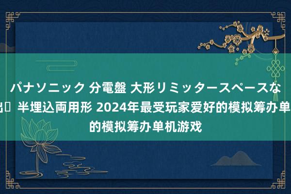 パナソニック 分電盤 大形リミッタースペースなし 露出・半埋込両用形 2024年最受玩家爱好的模拟筹办单机游戏