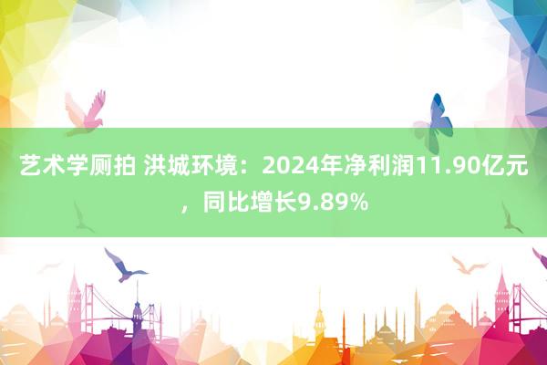 艺术学厕拍 洪城环境：2024年净利润11.90亿元，同比增长9.89%